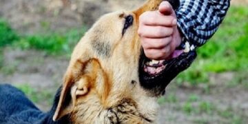 هشدار درباره گردش یک ویروس کشنده در کشور